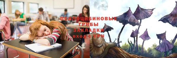 скорость Алзамай