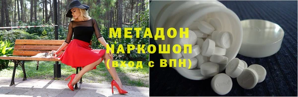 прущие грибы Абаза